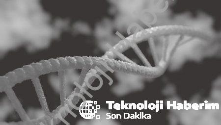 Biyolojik Veri Deposu: DNA’dan Veri Sızdıran Yeni Yöntem