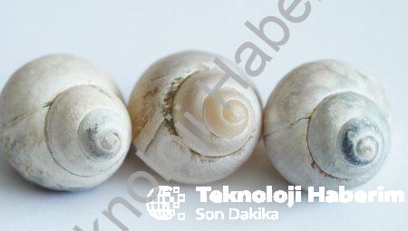 Sanal Gerçeklik Terapisi: Yeni Bir Tedavi Yöntemi