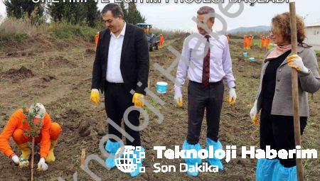 Dalaman Açık Cezaevi’nde Sakız Ağacı Üretimi ve Eğitim Projesi Başladı