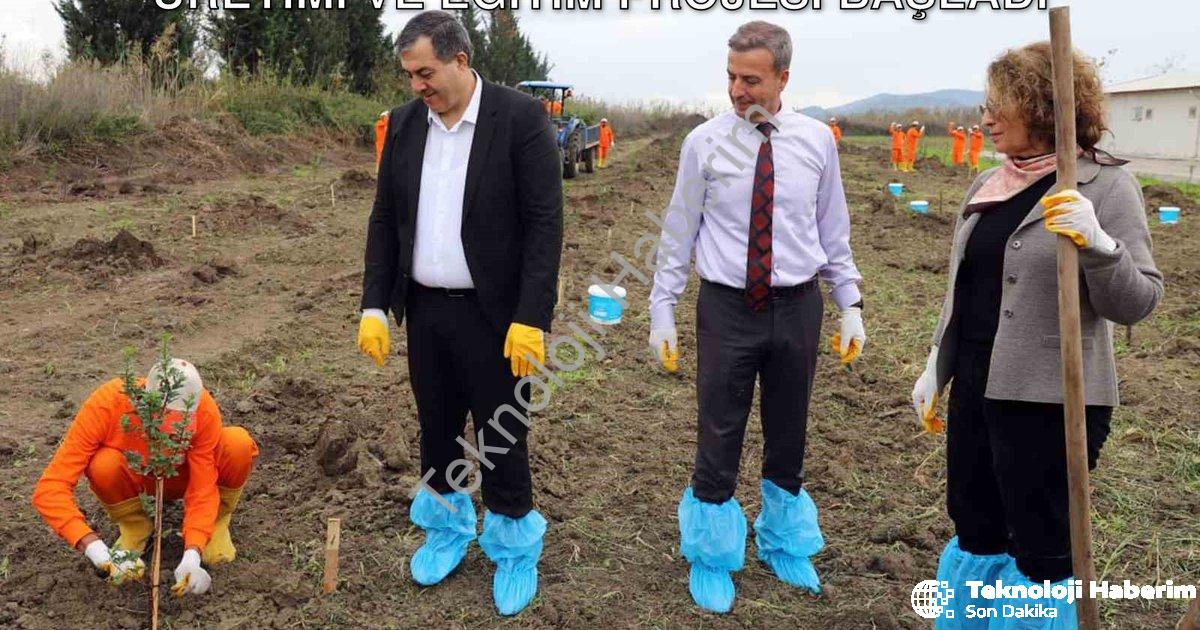 "Dalaman Açık Cezaevi'nde Sakız Ağacı Üretimi ve Eğitim Projesi Başladı" başlıklı haber için fotorea