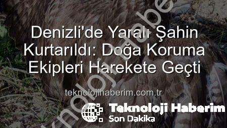 Denizli’de Yaralı Şahin Kurtarıldı: Doğa Koruma Ekipleri Harekete Geçti