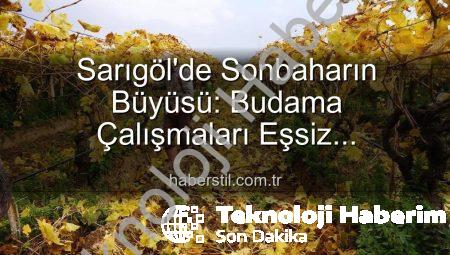 Manisa’da Üzüm Bağlarında Kartpostallık Güzellik Eşliğinde Budama Çalışmaları Devam Ediyor