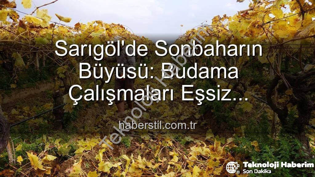 üzüm bağları budama - Manisa'da Üzüm Bağlarında Kartpostallık Güzellik Eşliğinde Budama Çalışmaları Devam Ediyor