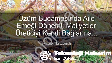 Üzüm Bağlarında Budama Maliyeti El Yaktı: Manisa’da Üreticiler Ailece Bağlara İndi