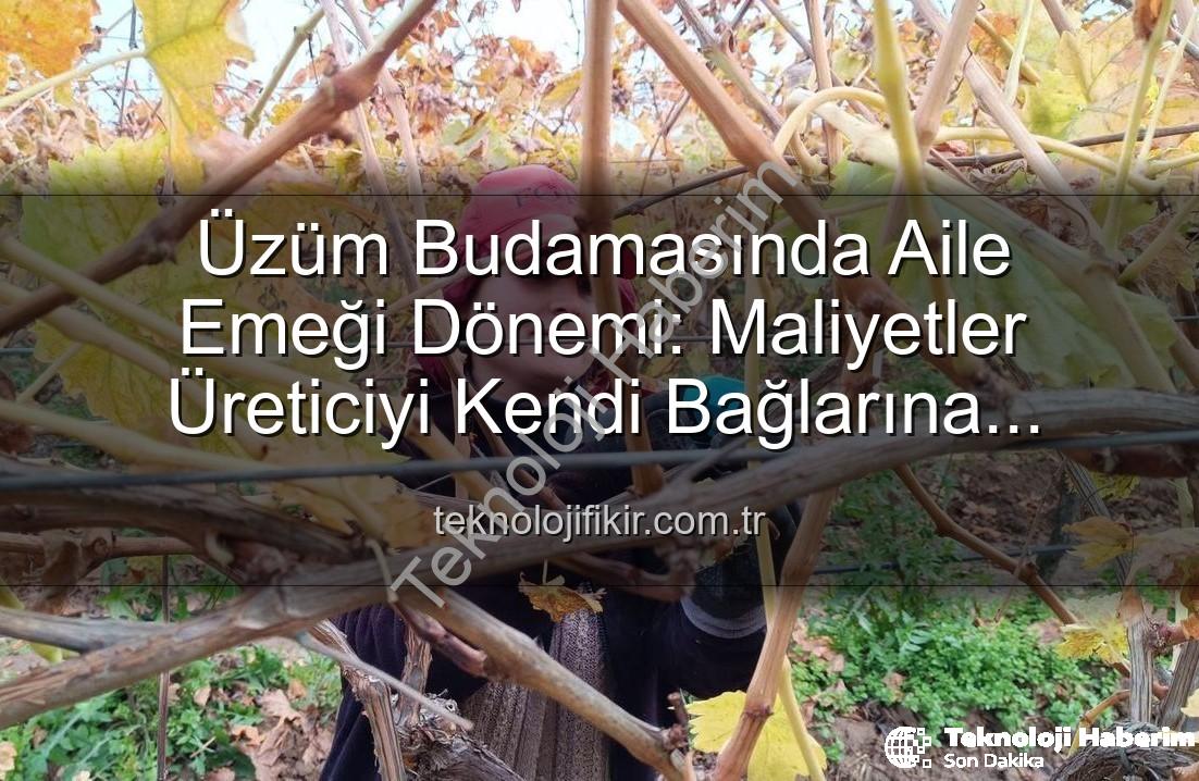 budama maliyeti - Üzüm Bağlarında Budama Maliyeti El Yaktı: Manisa'da Üreticiler Ailece Bağlara İndi