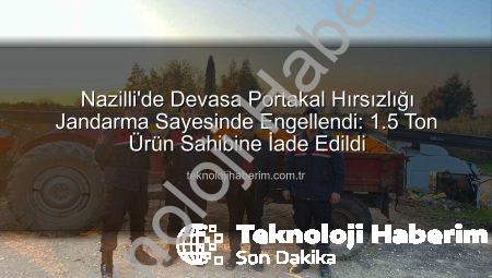 Nazilli’de Devasa Portakal Hırsızlığı Jandarma Sayesinde Engellendi: 1.5 Ton Ürün Sahibine İade Edildi