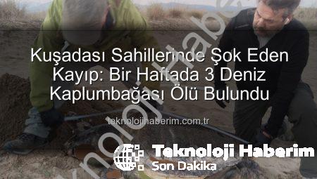 Kuşadası Sahillerinde Şok Eden Kayıp: Bir Haftada 3 Deniz Kaplumbağası Ölü Bulundu