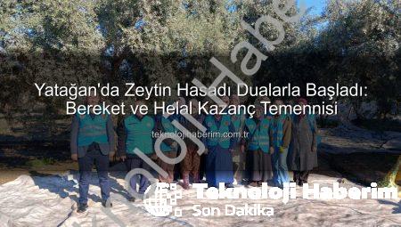 Yatağan’da Zeytin Hasadı Dualarla Başladı: Bereket ve Helal Kazanç Temennisi