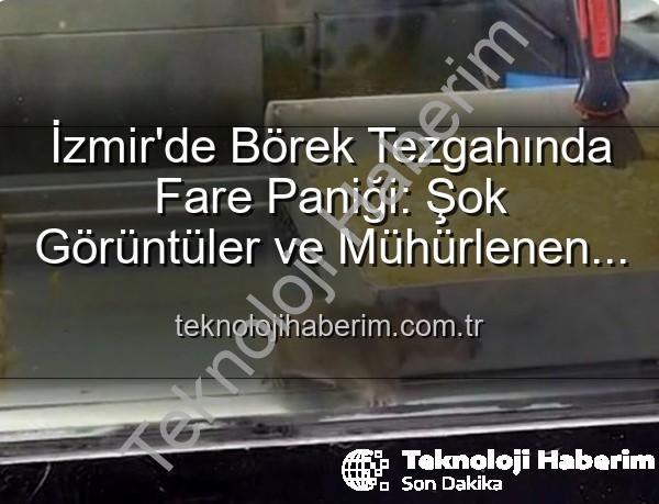 börek tezgahında fare - İzmir'de Börek Tezgahında Fare Paniği: Şok Görüntüler ve Mühürlenen İşletme