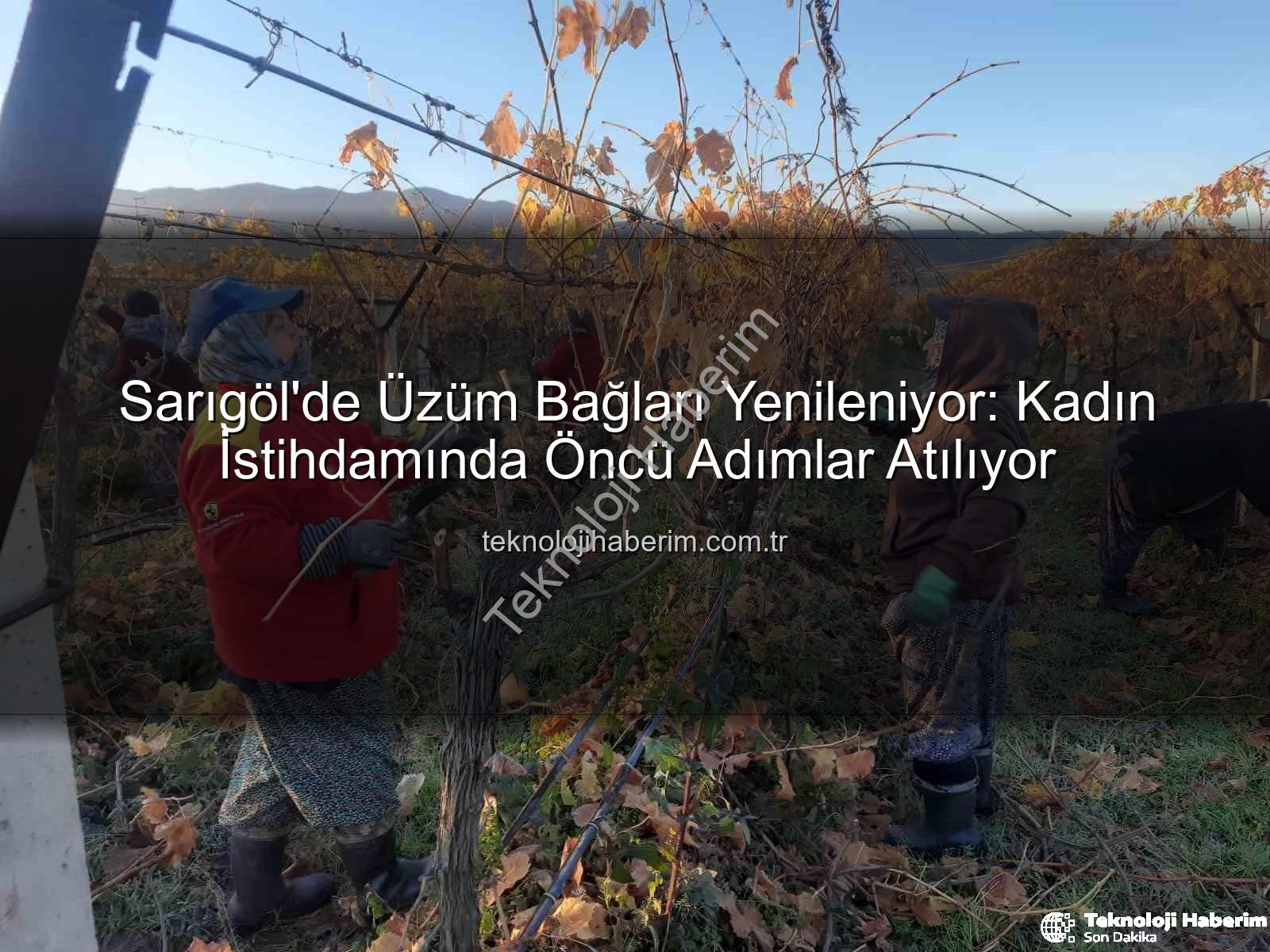 kadın istihdamı - Sarıgöl'de Üzüm Bağları Yenileniyor: Kadın İstihdamında Öncü Adımlar Atılıyor