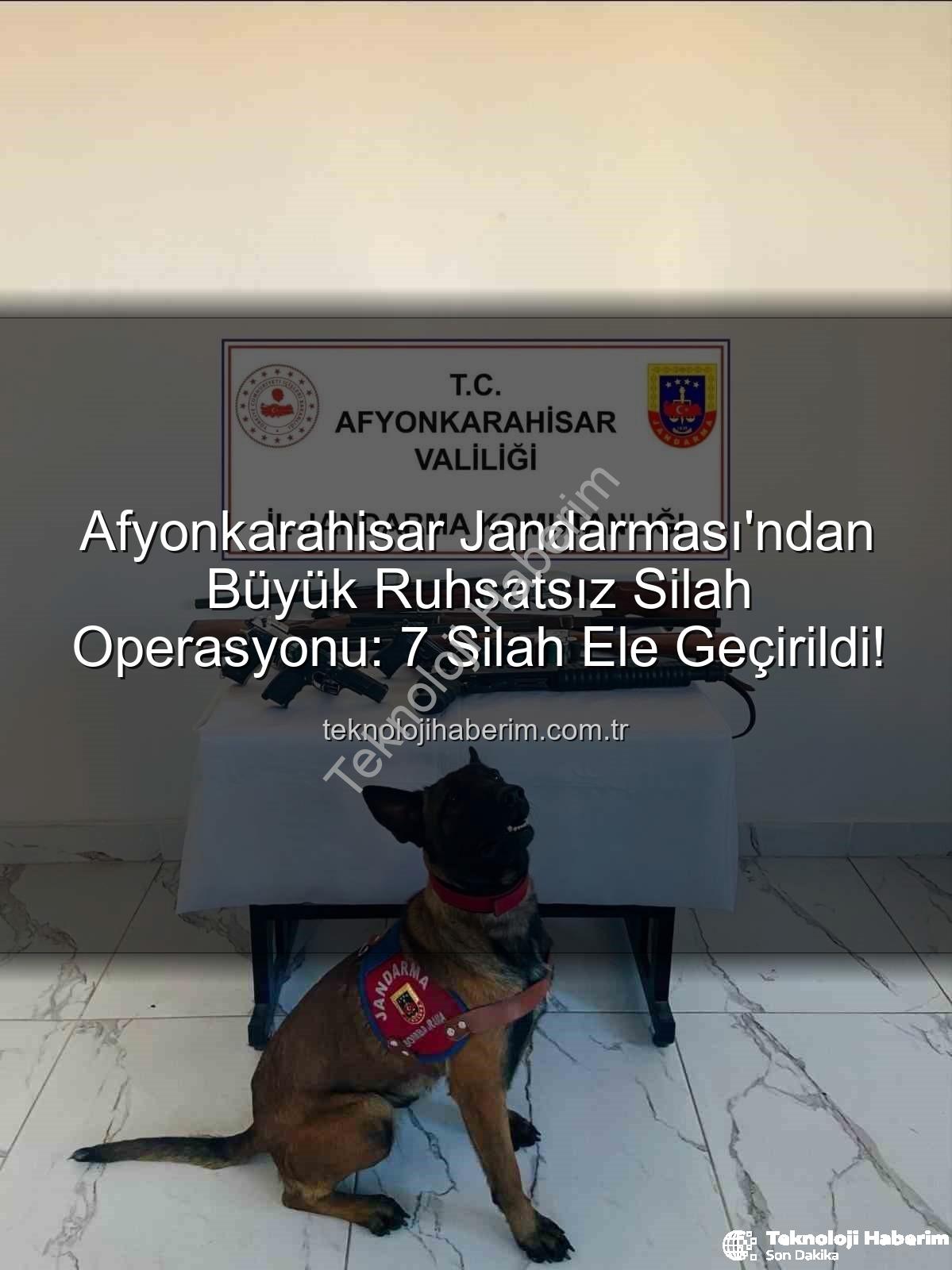 ruhsatsız silah - Afyonkarahisar Jandarması'ndan Büyük Ruhsatsız Silah Operasyonu: 7 Silah Ele Geçirildi!