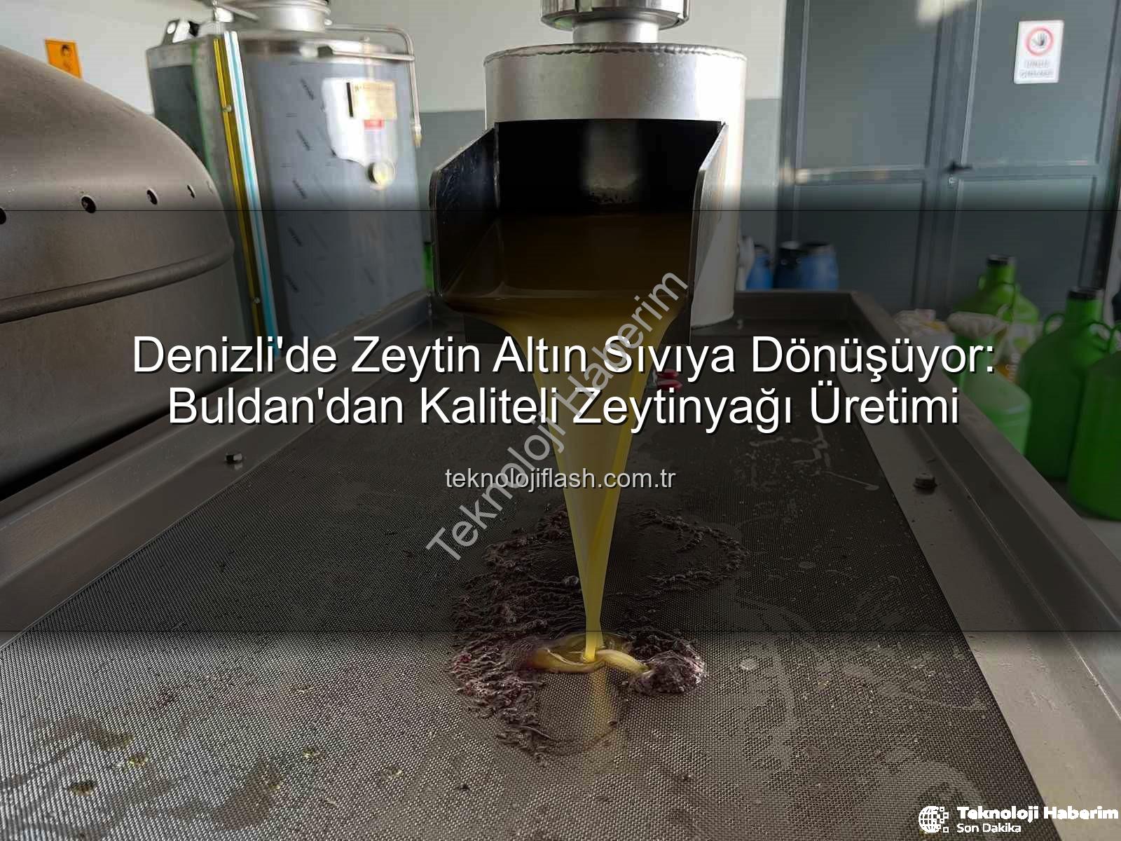 zeytin hasadı - Denizli'de Zeytin Hasadı: Kara Meyve Altın Sıvıya Dönüşüyor, Üreticiler Verimden Memnun