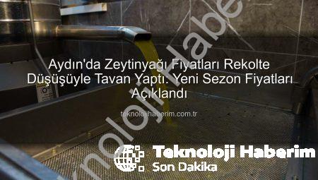 Aydın’da Zeytinyağı Fiyatları Rekolte Düşüşüyle Tavan Yaptı: Yeni Sezon Fiyatları Açıklandı