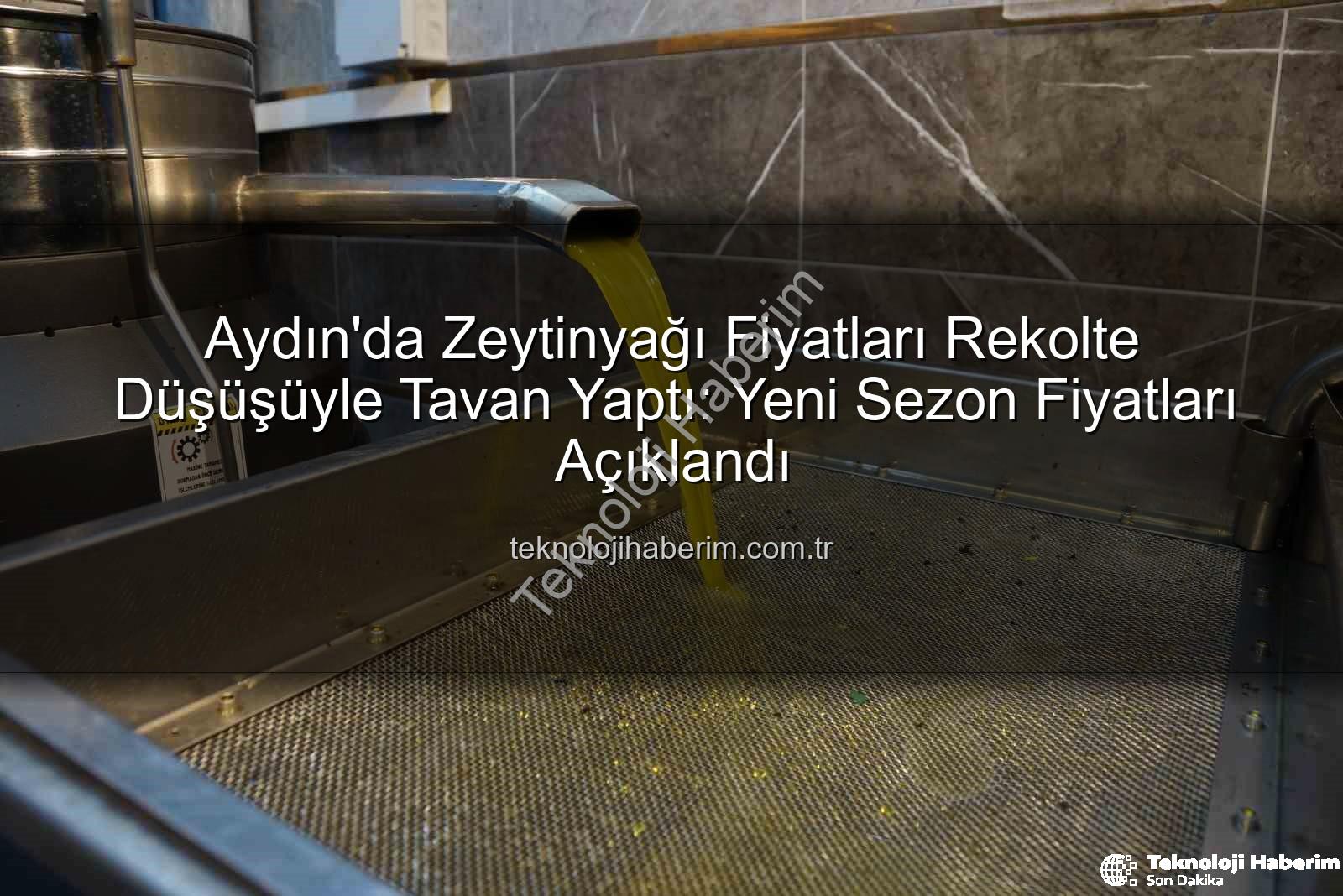 zeytinyağı fiyatları - Aydın'da Zeytinyağı Fiyatları Rekolte Düşüşüyle Tavan Yaptı: Yeni Sezon Fiyatları Açıklandı