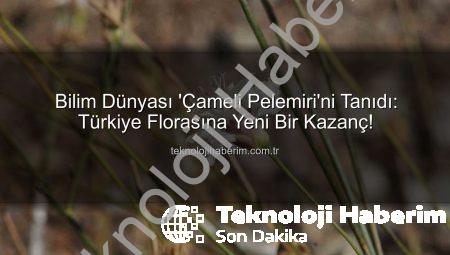 Bilim Dünyası ‘Çameli Pelemiri’ni Tanıdı: Türkiye Florasına Yeni Bir Kazanç!