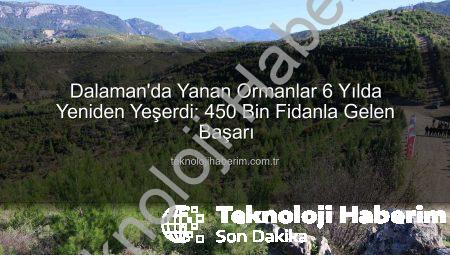 Dalaman’da Yanan Ormanlar 6 Yılda Yeniden Yeşerdi: 450 Bin Fidanla Gelen Başarı