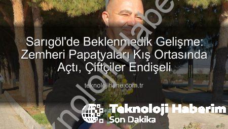 Manisa Sarıgöl’de Beklenmedik Gelişme: Zemheri Ayazında Papatyalar Çiçek Açtı, Çiftçiler Endişeli