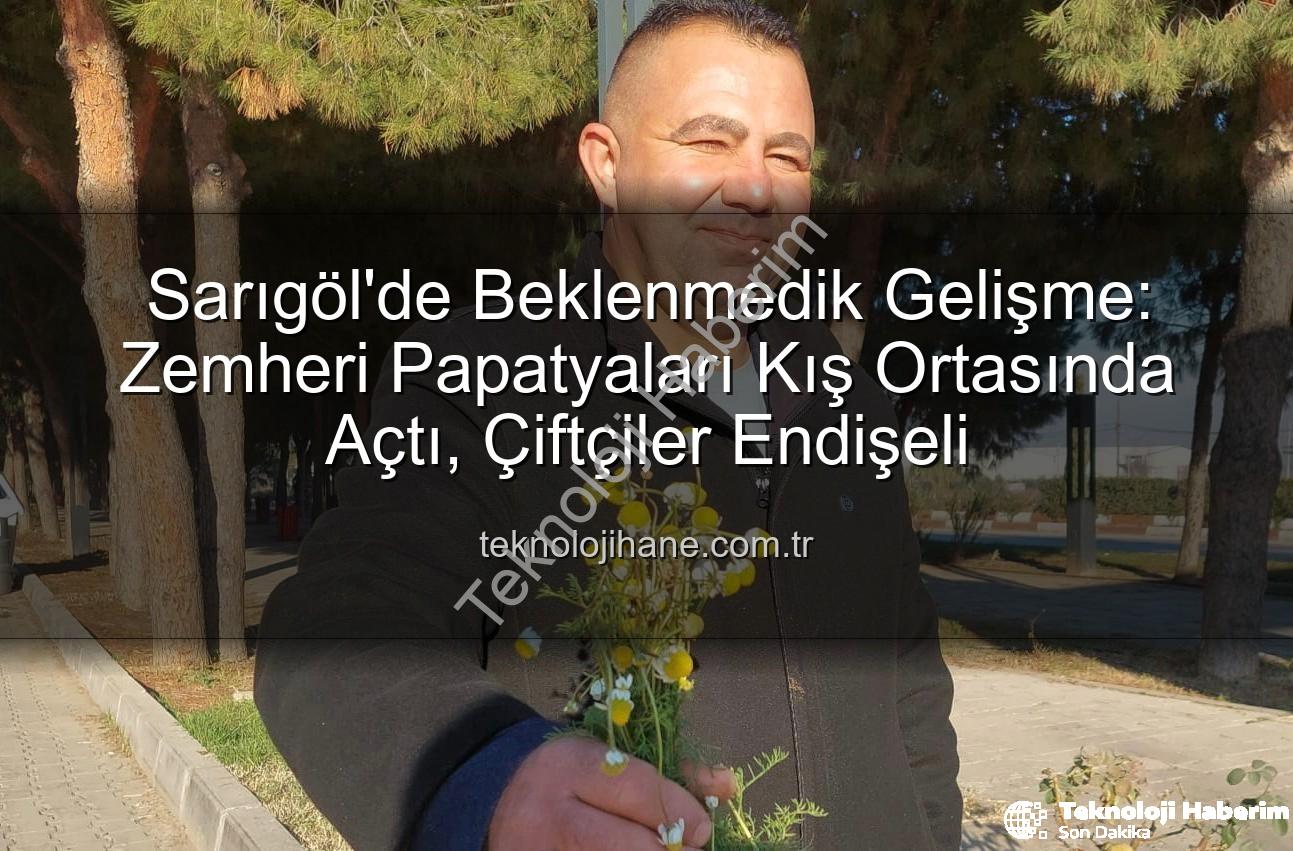 zemheri papatyaları - Manisa Sarıgöl'de Beklenmedik Gelişme: Zemheri Ayazında Papatyalar Çiçek Açtı, Çiftçiler Endişeli